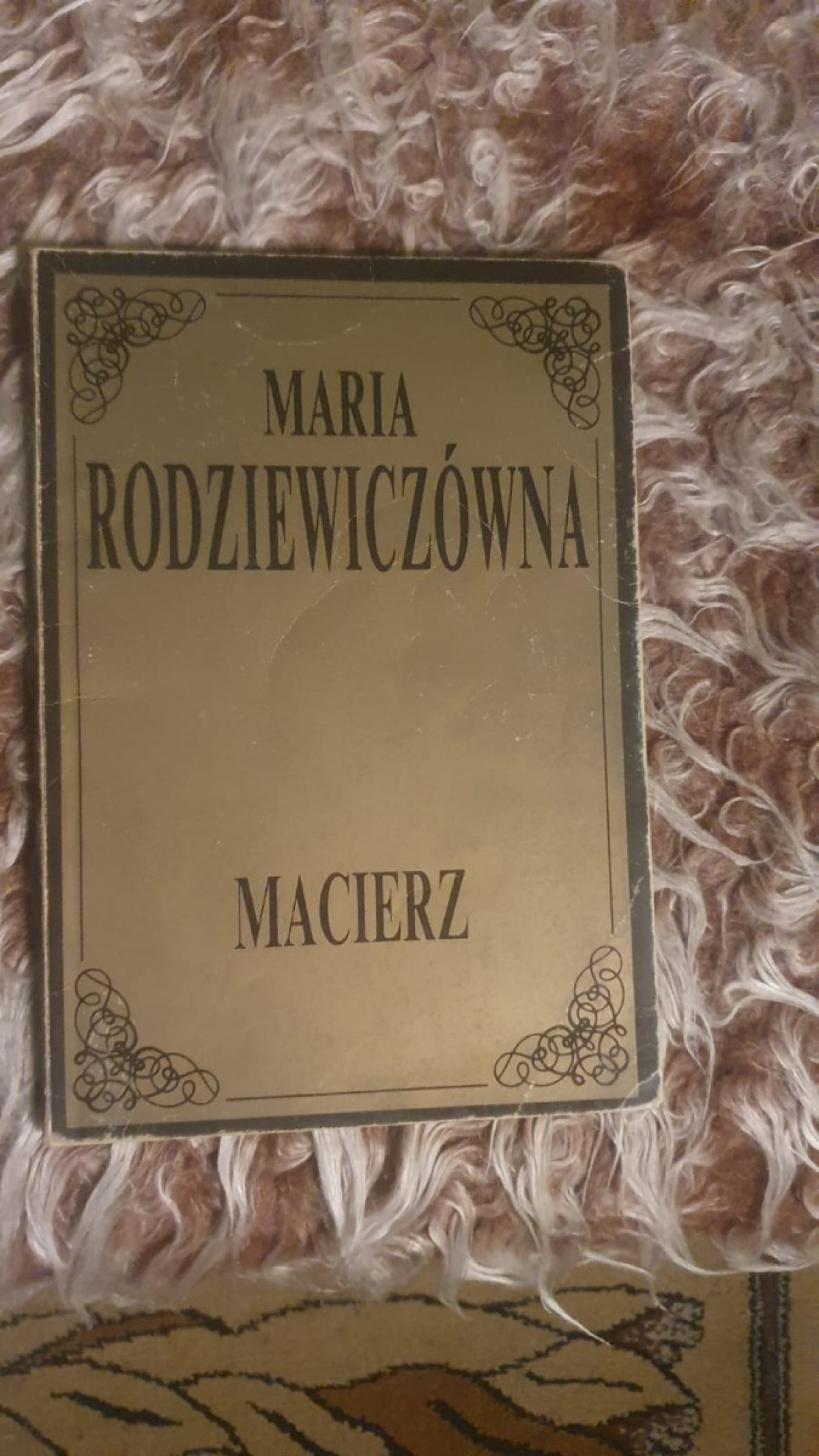 Książka Maria Rodziewiczówna – Macierz