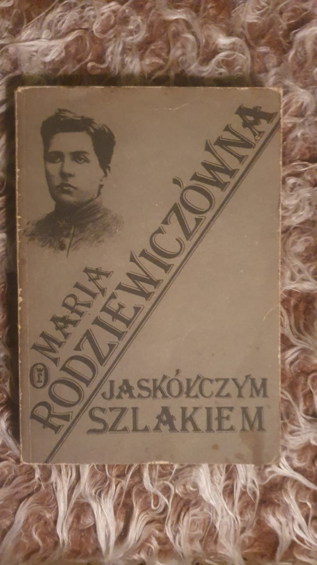 Książka - Jaskółczym szlakiem – Maria Rodziewiczówna