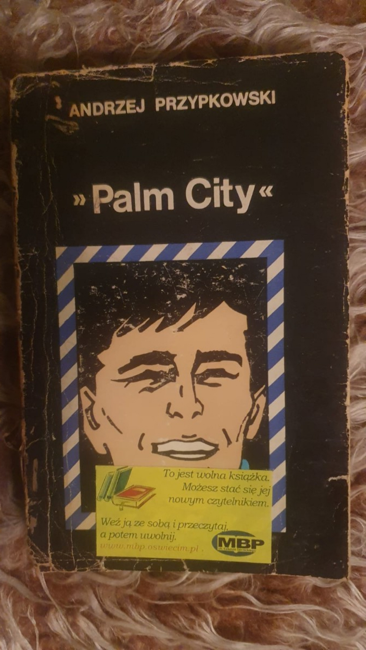 Palm City Andrzej Przypkowski