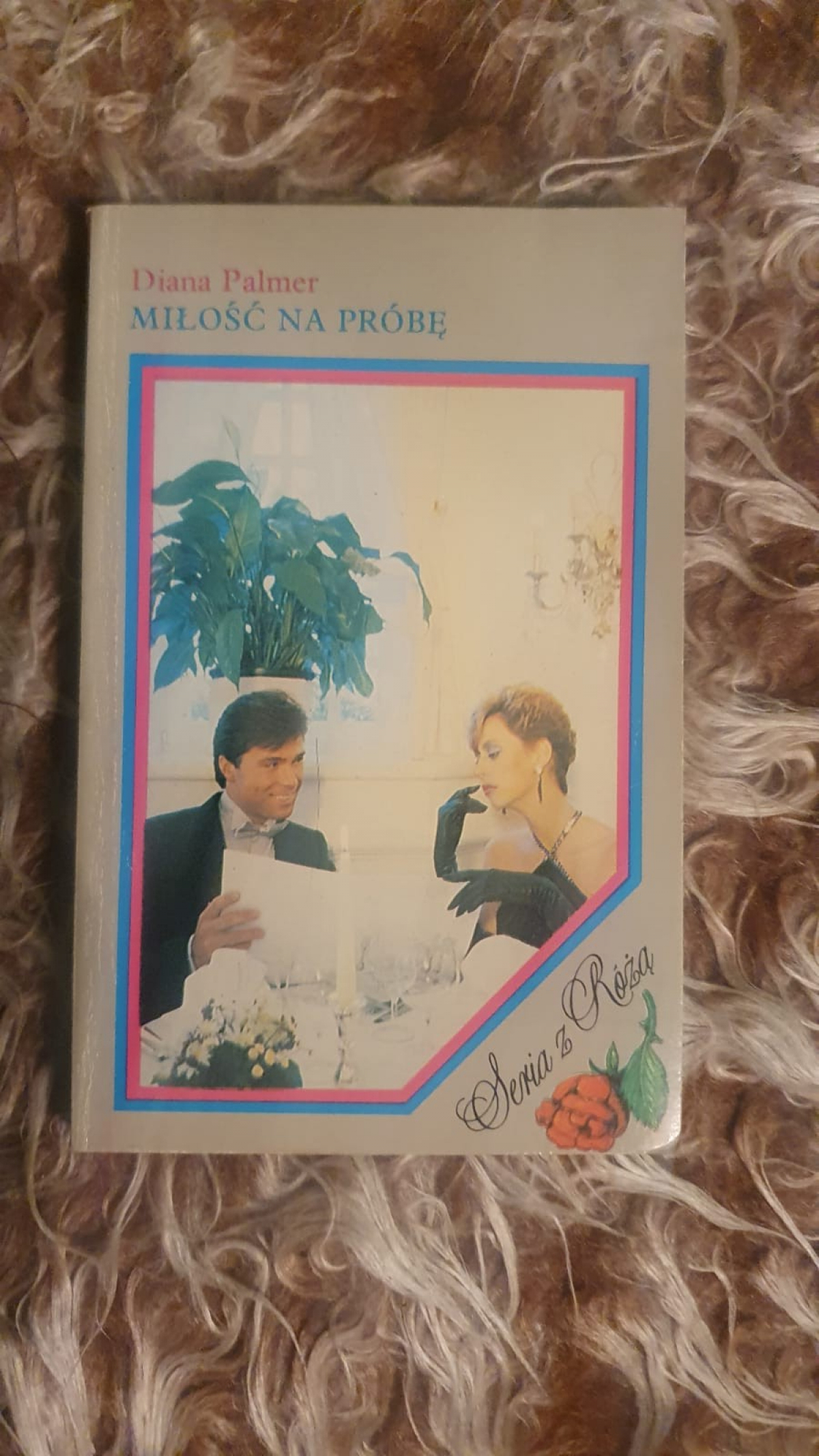 Diana Palmer - Miłość na próbę