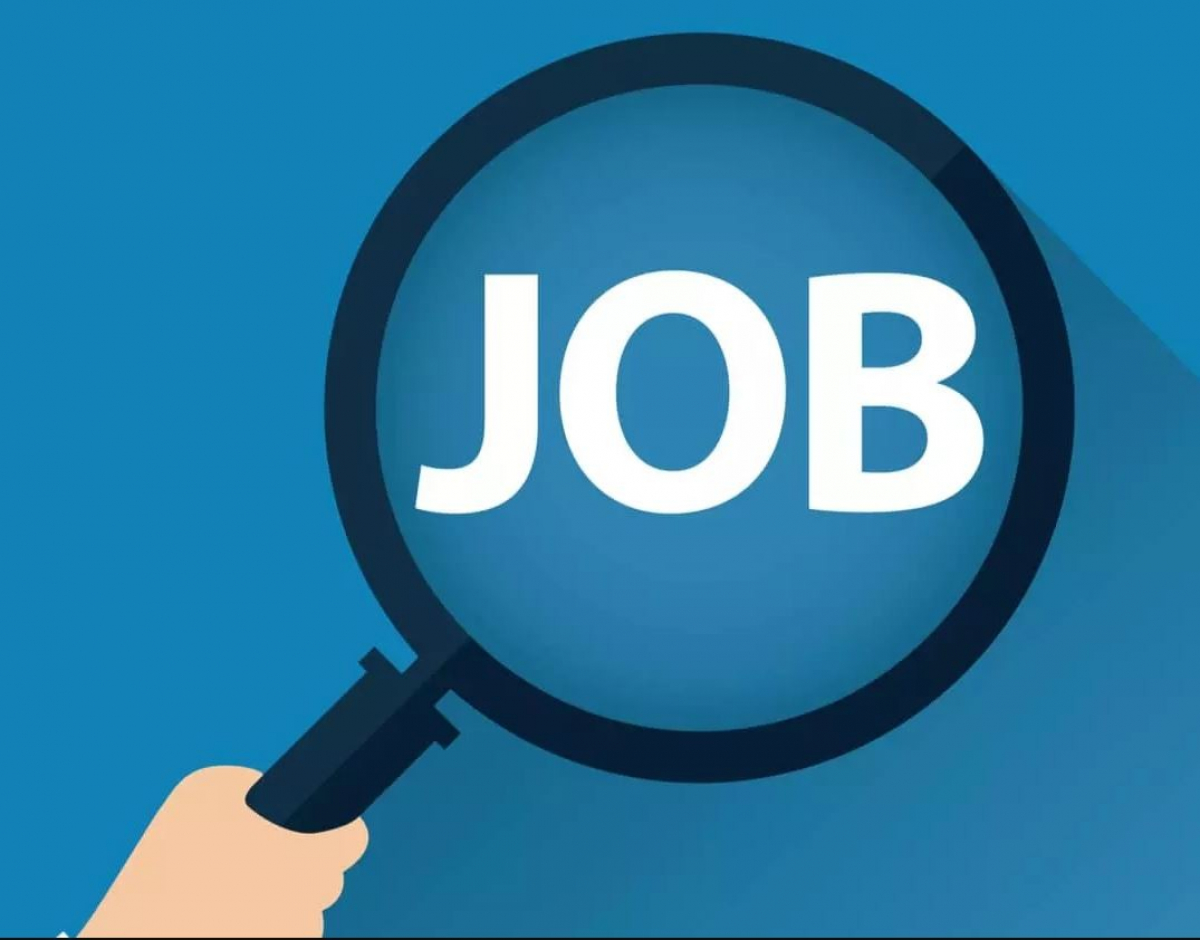 Android / Flutter Developer