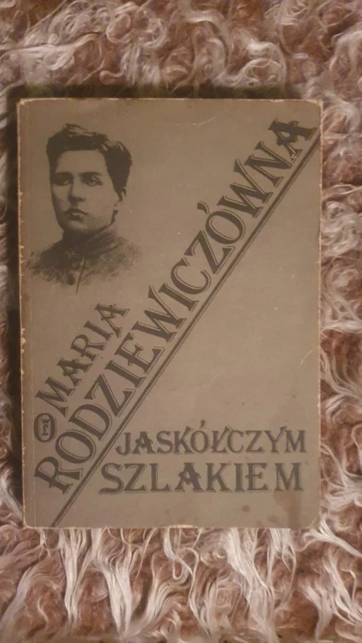 Książka - Jaskółczym szlakiem – Maria Rodziewiczówna